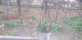 ������� ���� | Imot.bg � ����� ������ 9