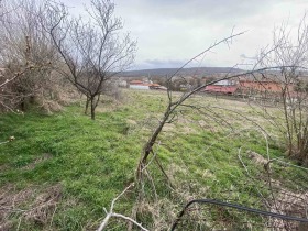 Парцел с. Стамболийски, област Хасково 1