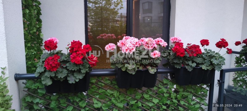 Te koop  Studio Sofia , Vitosja , 50 m² | 81102747 - afbeelding [13]