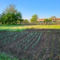 Продава КЪЩА, гр. Завет, област Разград, снимка 13