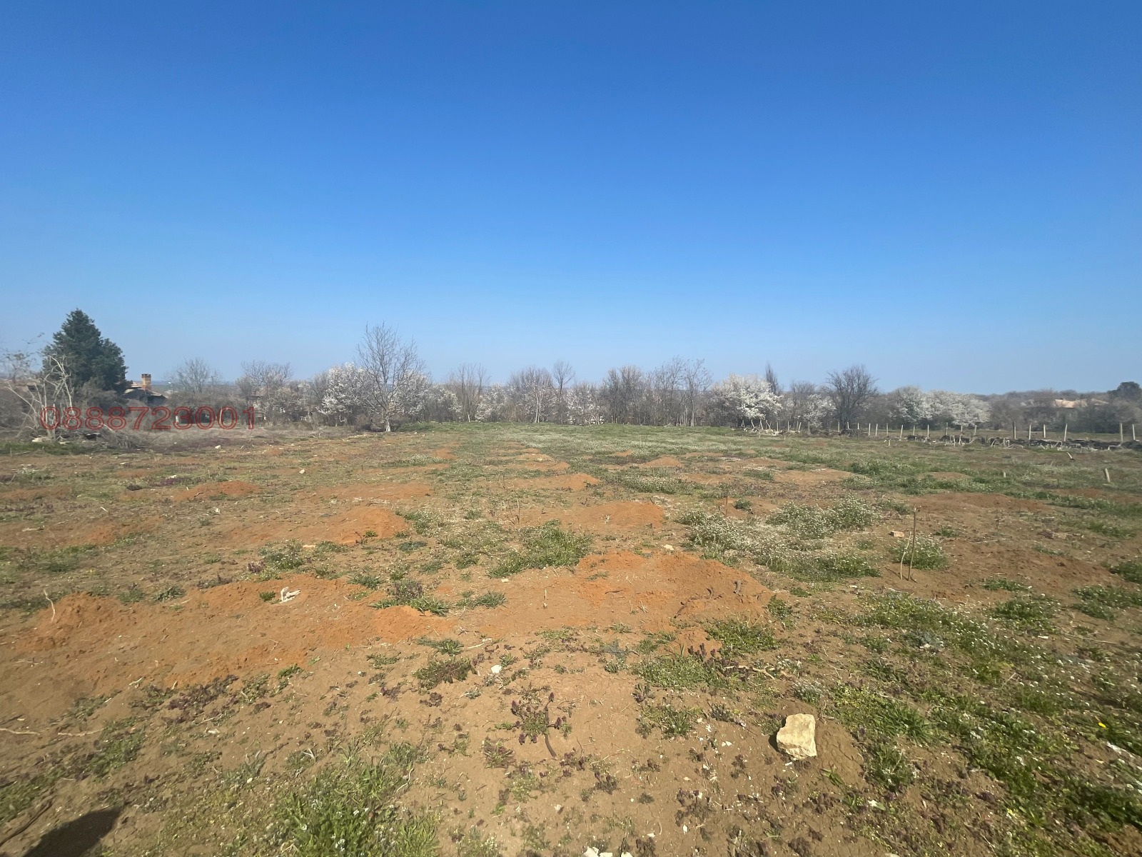 Продава КЪЩА, с. Дъскот, област Велико Търново, снимка 8 - Къщи - 54821650