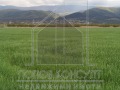 Продава ПАРЦЕЛ, град Пловдив, Беломорски • 65000 € / 127128.95 лв. • 26759991 2