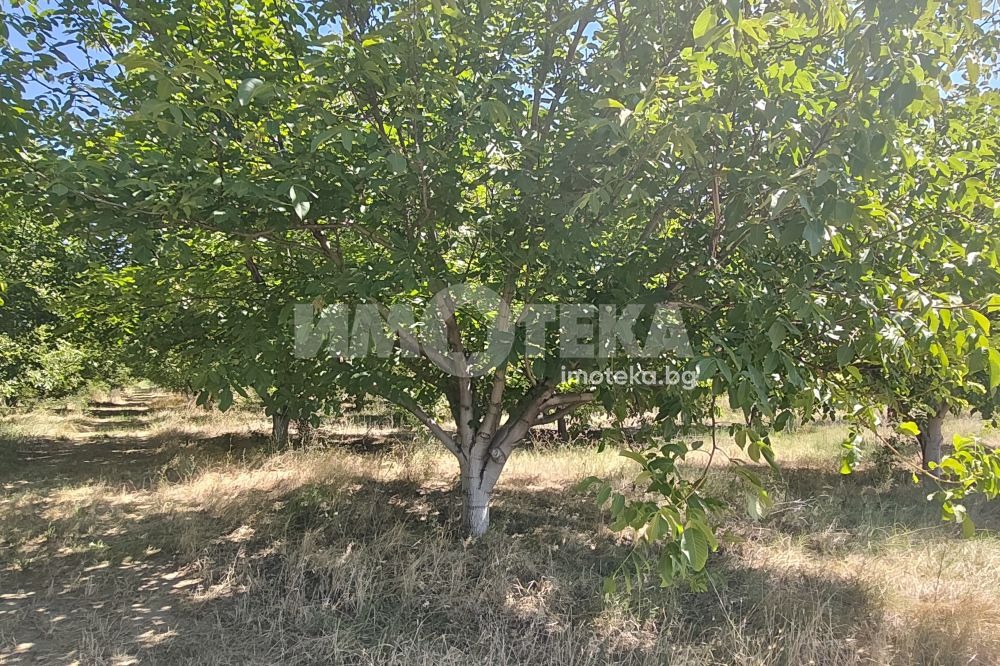 ������� ���������� ���� | Imot.bg � ����������� 3