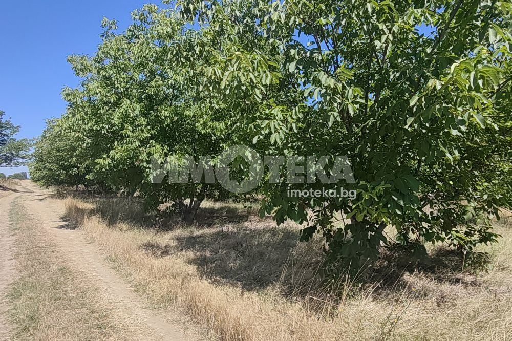 ������� ���������� ���� | Imot.bg � ����������� 2