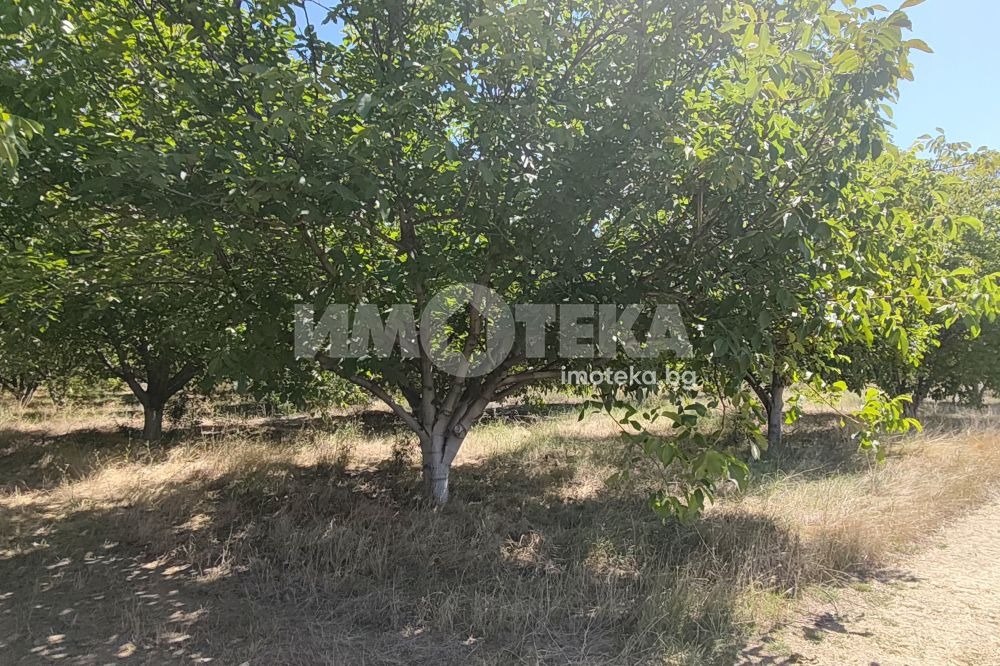 ������� ���������� ���� | Imot.bg � ����������� 4