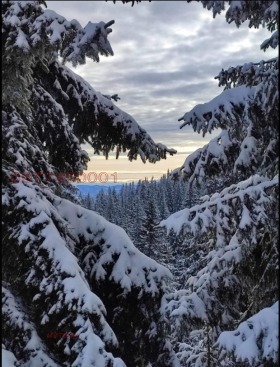 ������� 1-����� | Imot.bg � ����� ������ 17