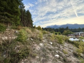 ПАРЦЕЛ, 3 038 m2
