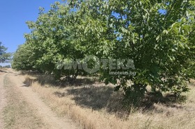 ������� ���������� ���� | Imot.bg � ����� ������ 2