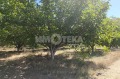 Продава ЗЕМЕДЕЛСКА ЗЕМЯ, с. Цалапица, област Пловдив, снимка 4