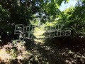 Продава КЪЩА, област Габрово, с. Млечево • 26000 € • 40041528 — Holmes.bg