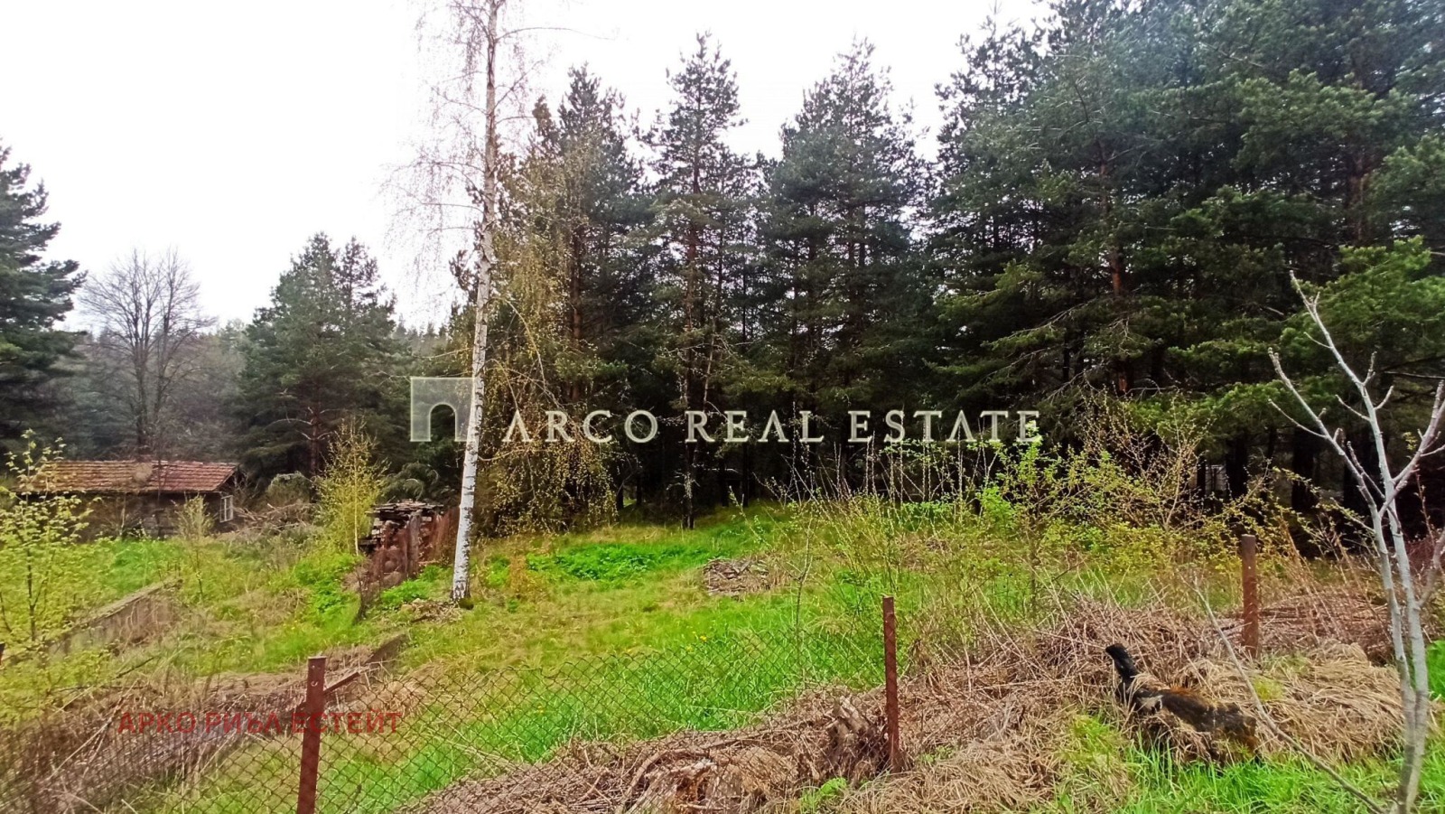 ������� ������ | Imot.bg � ����������� 4