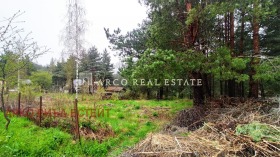 ����� ������� ������,�.�.�����, ������ �����