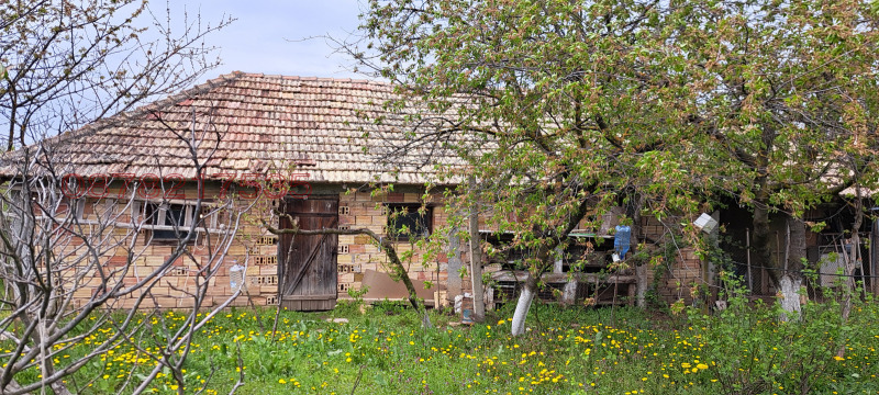 Продава  Къща област Търговище , с. Медовина , 40 кв.м | 56714740 - изображение [4]