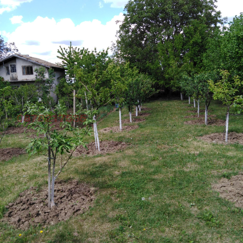 Продава  Къща област Търговище , с. Медовина , 40 кв.м | 56714740 - изображение [5]
