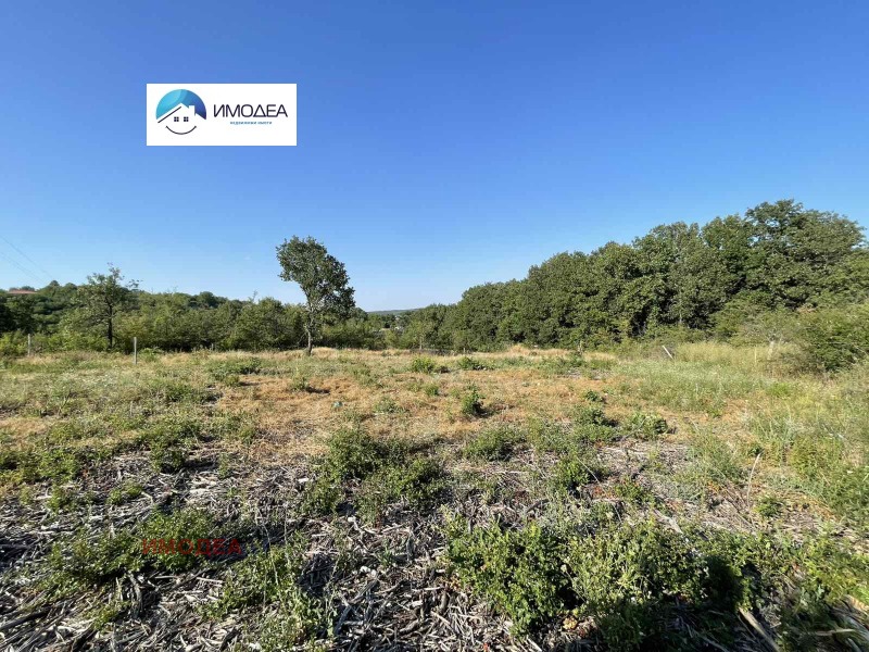 Na sprzedaż  Działka region Wielkie Tyrnowo , Momin sbor , 2000 mkw | 64743132