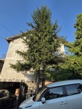 Продава КЪЩА, гр. Перник, Могиличе, снимка 1
