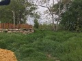 Продава ПАРЦЕЛ, с. Аврен, област Варна, снимка 2