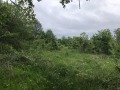 Продава ПАРЦЕЛ, с. Аврен, област Варна, снимка 1