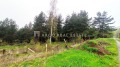 Продава ПАРЦЕЛ, в.з.Ярема, област София област, снимка 2