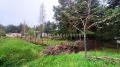 Продава ПАРЦЕЛ, в.з.Ярема, област София област, снимка 3