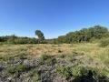 Продава ПАРЦЕЛ, област Велико Търново, с. Момин сбор • 75000 лв. • 81048966 — Holmes.bg