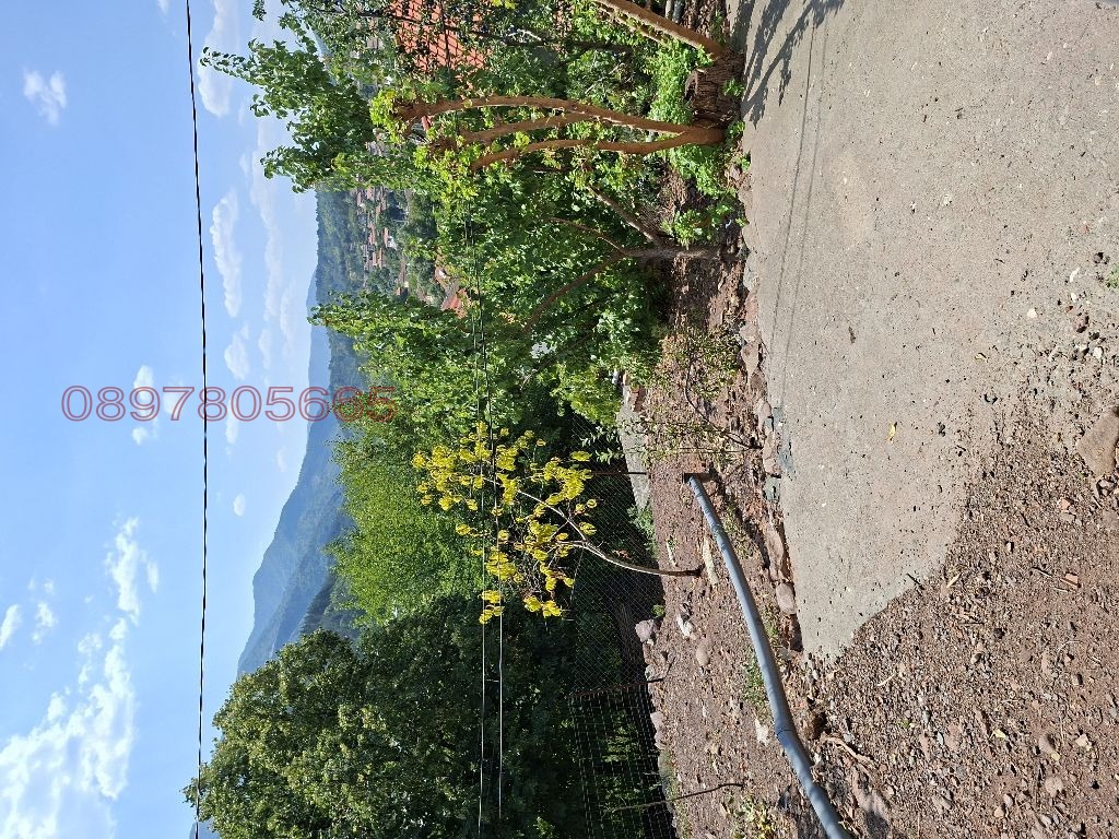 Продава КЪЩА, с. Зверино, област Враца, снимка 7 - Къщи - 55806145
