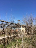 Продава КЪЩА, с. Девенци, област Плевен, снимка 3