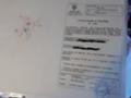 Продава ПАРЦЕЛ, с. Владо Тричков, област София област, снимка 2