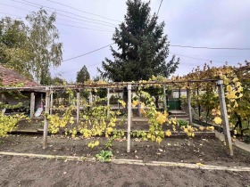 ������� ������ | Imot.bg � ����� ������ 3