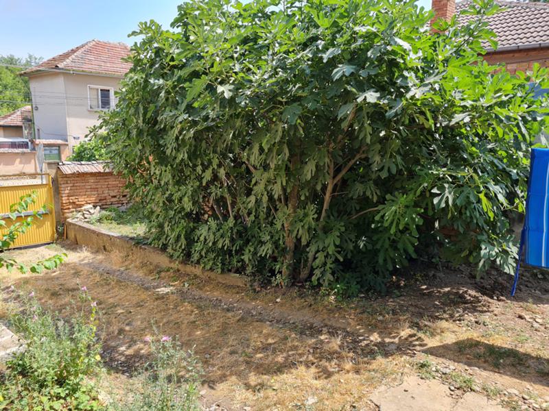 Продава КЪЩА, гр. Славяново, област Плевен, снимка 5 - Къщи - 52783920