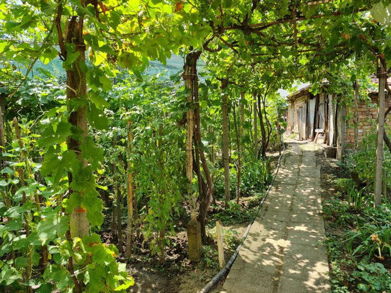 Продава КЪЩА, гр. Славяново, област Плевен, снимка 3 - Къщи - 52783920