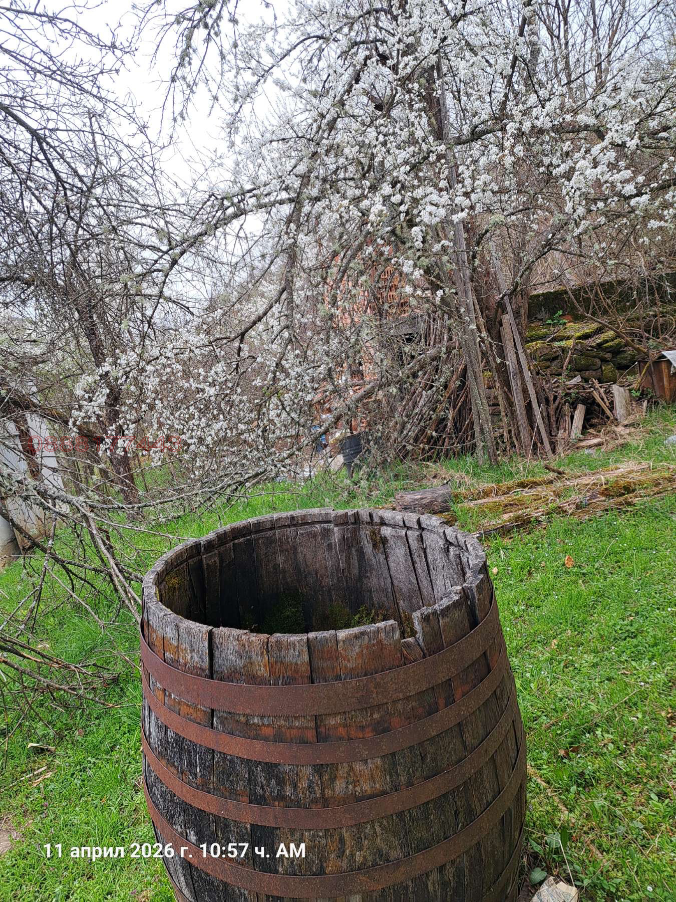 ������� ���� | Imot.bg � ����������� 12