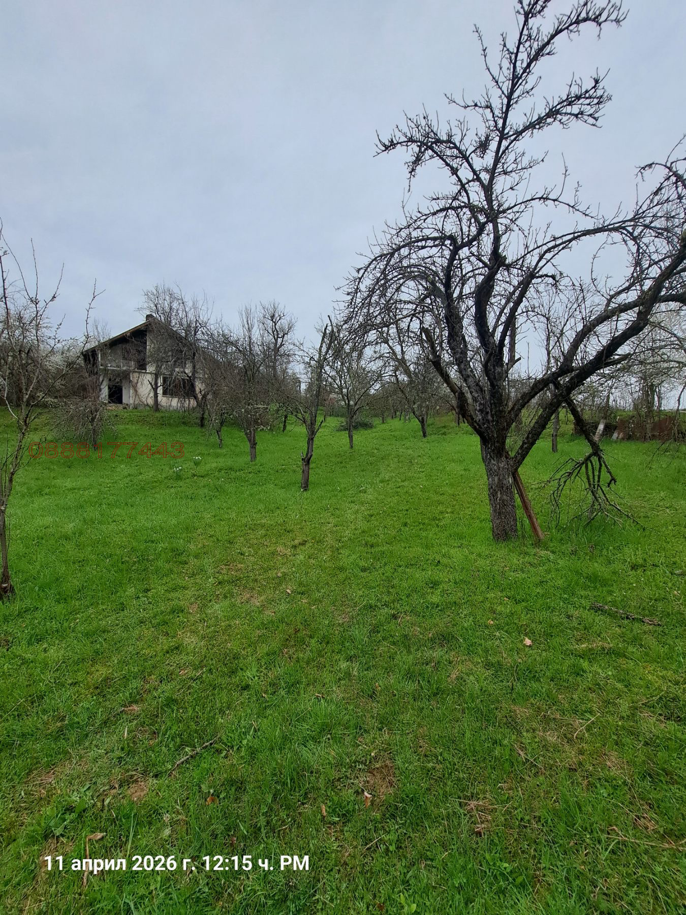 ������� ���� | Imot.bg � ����������� 8