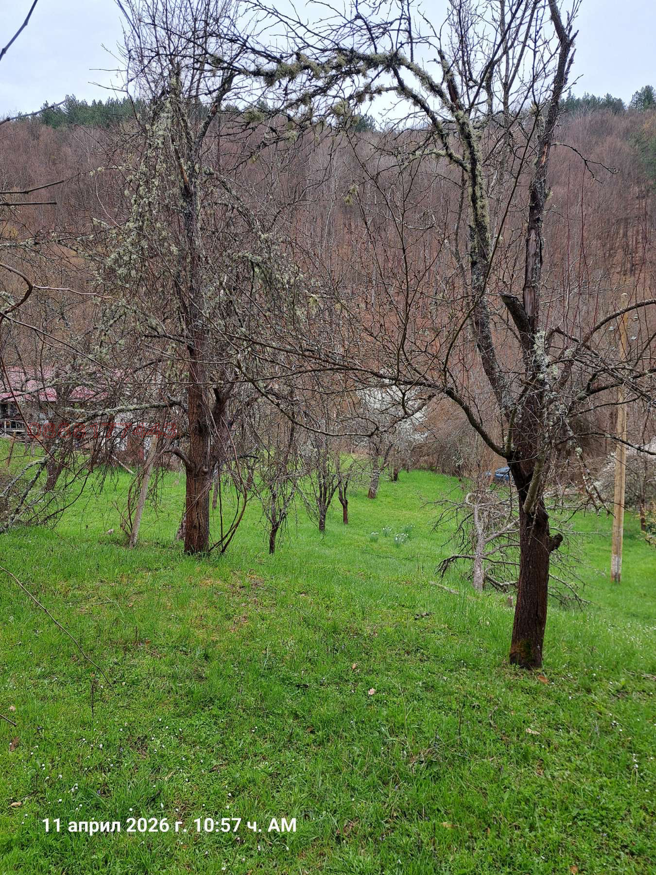 ������� ���� | Imot.bg � ����������� 11