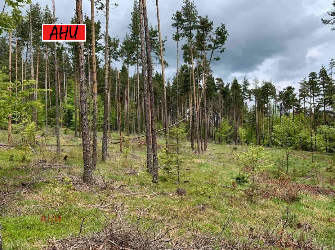 ������� ������ | Imot.bg � ����������� 3