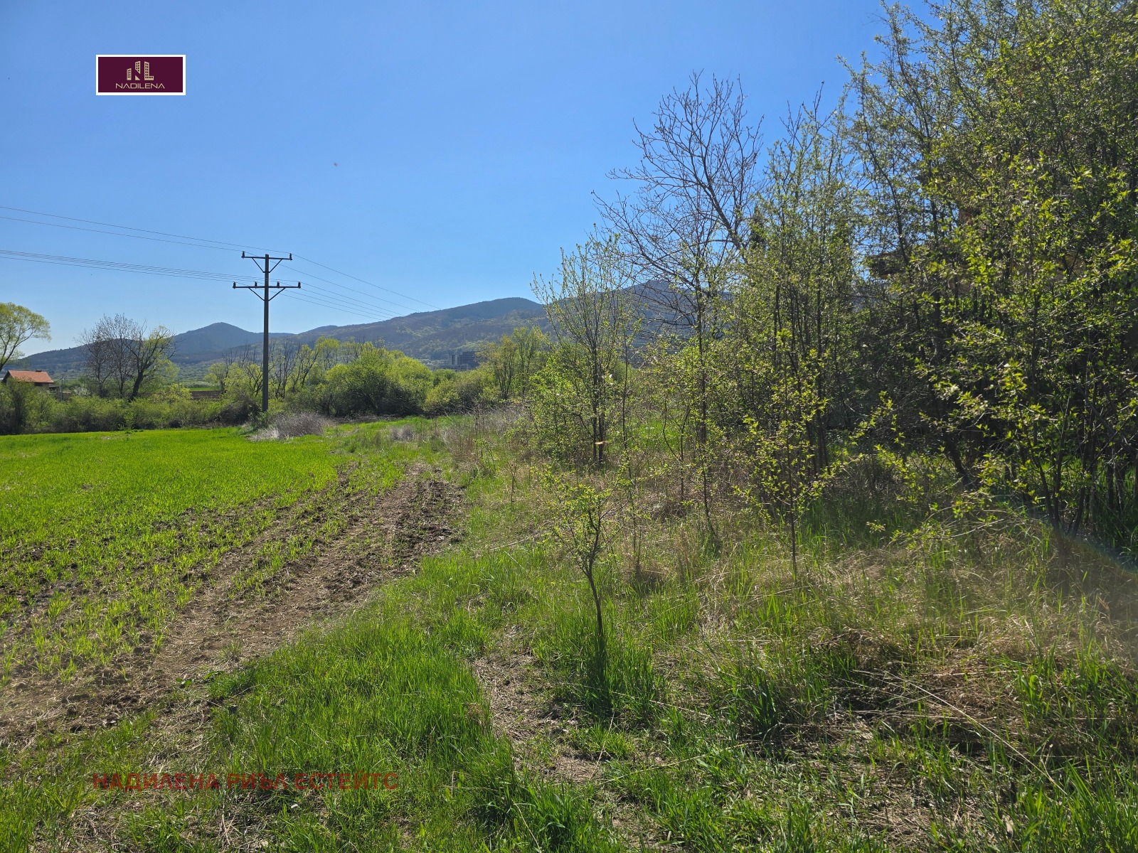 ������� ������ | Imot.bg � ����������� 8