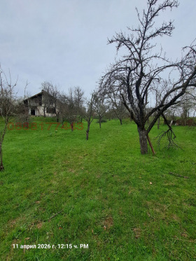 ������� ���� | Imot.bg � ����� ������ 8