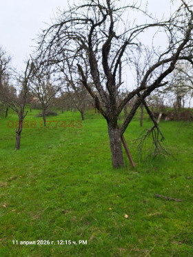 ������� ���� | Imot.bg � ����� ������ 10