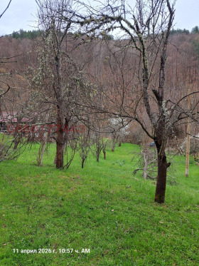 ������� ���� | Imot.bg � ����� ������ 11