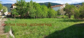 Продажба на имоти в с. Павелско, област Смолян - изображение 10 