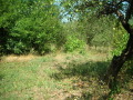 Продава ПАРЦЕЛ, област София, гр. Долна баня • 30000 лв. • 71274062 — Holmes.bg