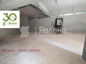 ����� ������� �����,���� �����, ��������