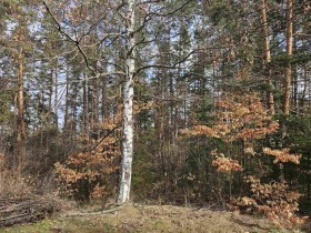 ������� ������ | Imot.bg � ����� ������ 2