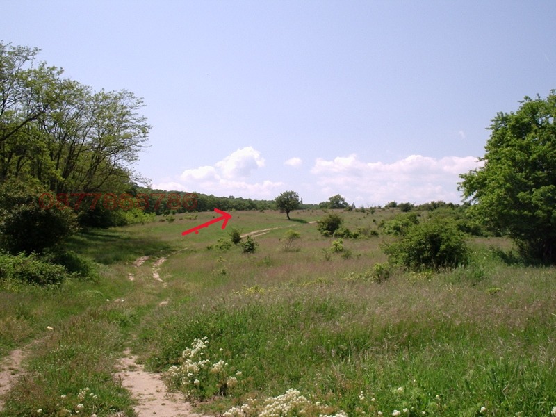 Продава ПАРЦЕЛ, с. Близнаци, област Варна, снимка 2 - Парцели - 52785474