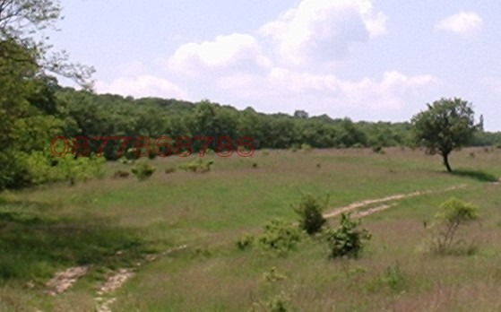 Продава ПАРЦЕЛ, с. Близнаци, област Варна, снимка 3 - Парцели - 52785474