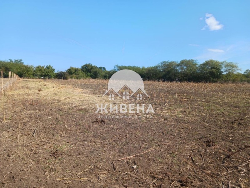 На продаж  Сюжет область Добрич , Камен бряг , 5602 кв.м | 61840669 - зображення [6]