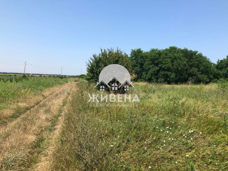 На продаж  Сюжет область Добрич , Камен бряг , 5602 кв.м | 61840669 - зображення [7]