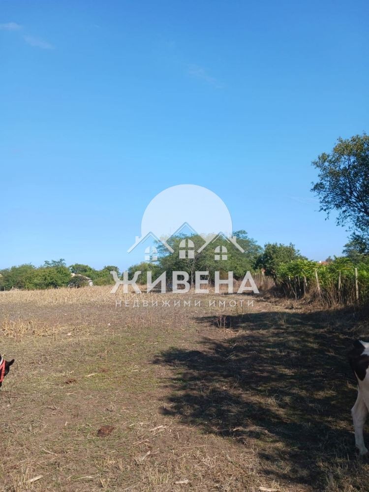 На продаж  Сюжет область Добрич , Камен бряг , 5602 кв.м | 61840669 - зображення [11]