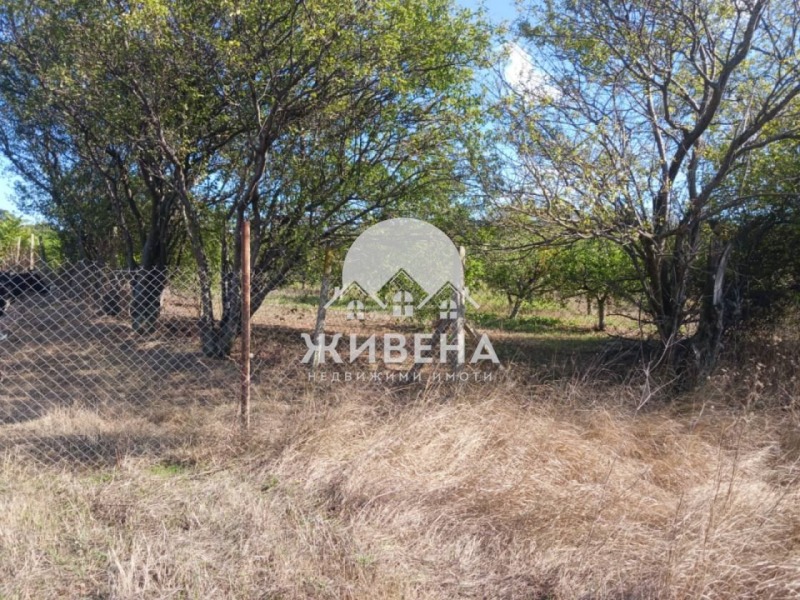 На продаж  Сюжет область Добрич , Камен бряг , 5602 кв.м | 61840669 - зображення [8]