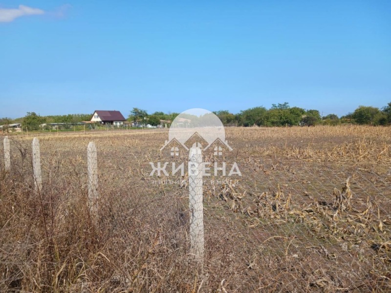 На продаж  Сюжет область Добрич , Камен бряг , 5602 кв.м | 61840669 - зображення [3]